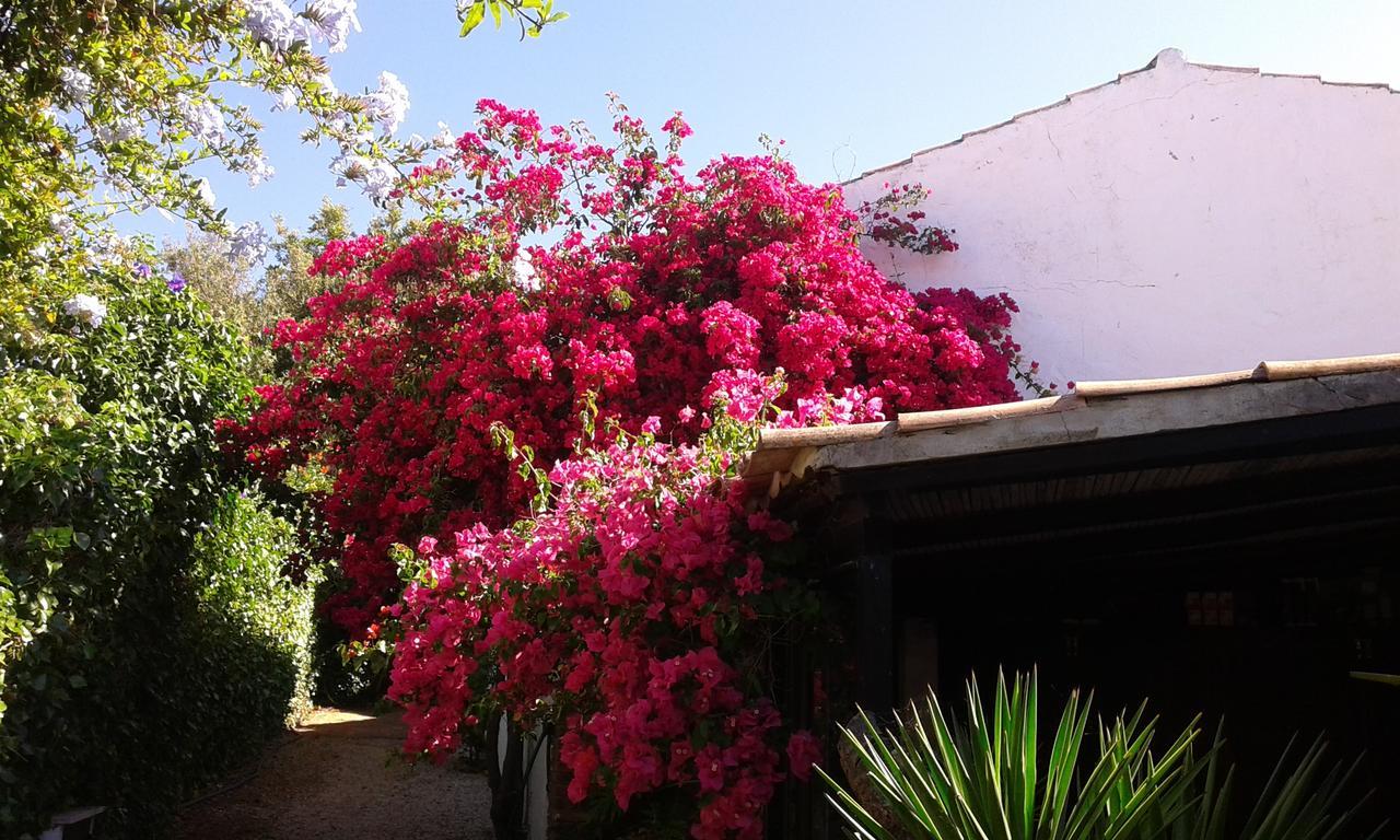 Quinta Das Flores Villa Albufeira Buitenkant foto